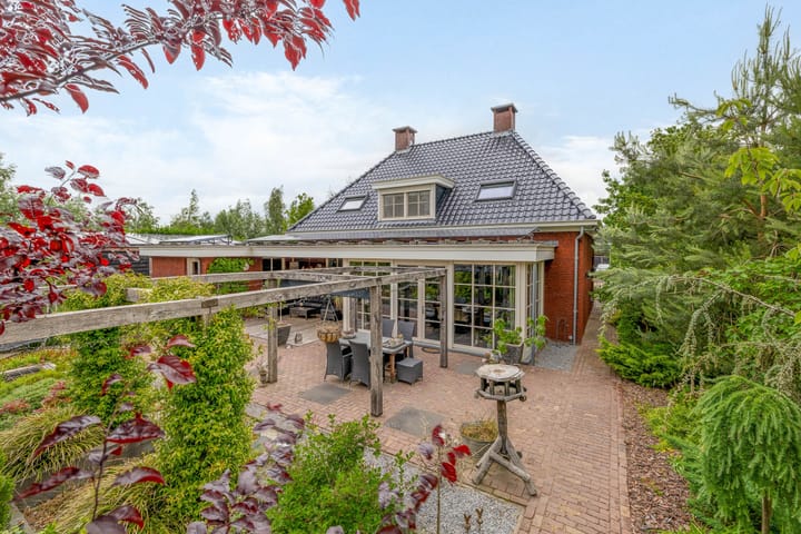 Foto 4 van Herfstvlinder 7