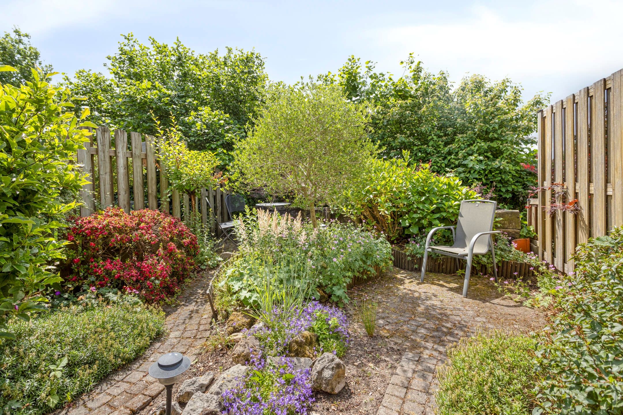 Foto 24 van Molenberg 53