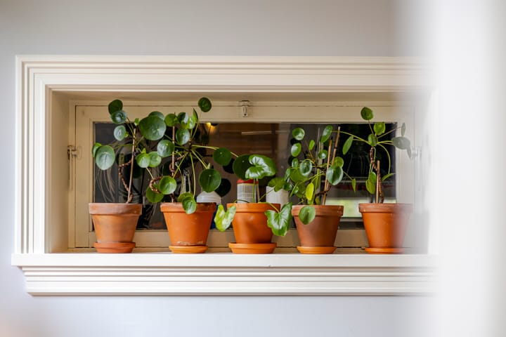 Foto 27 van Damseweg 101