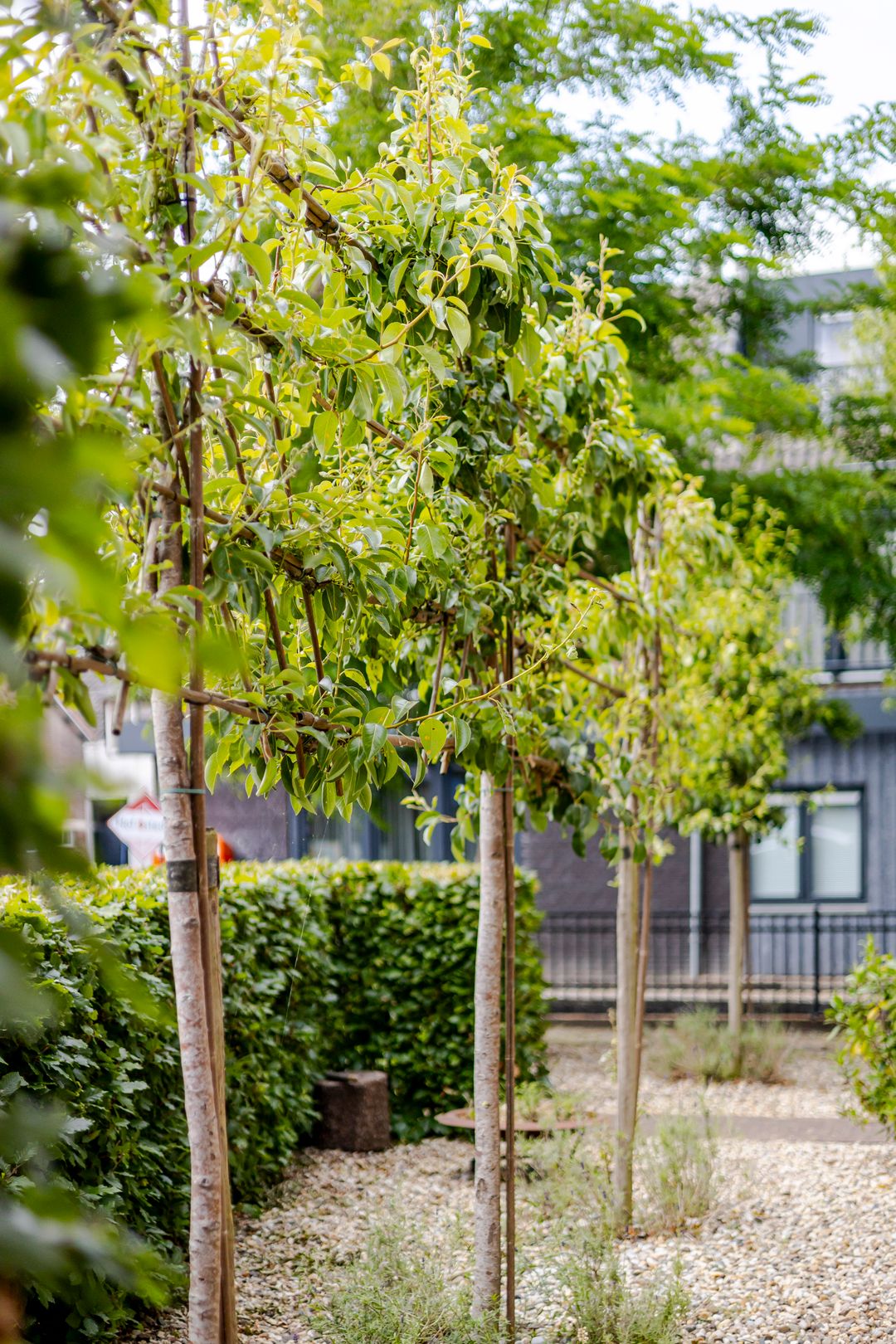 Foto 62 van Damseweg 101