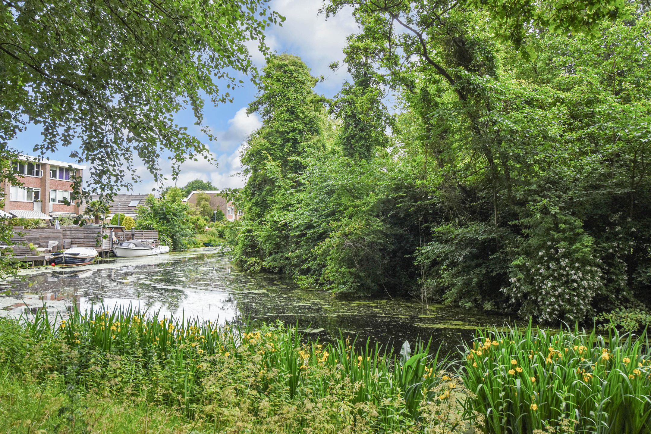 Foto 48 van De Brink 566