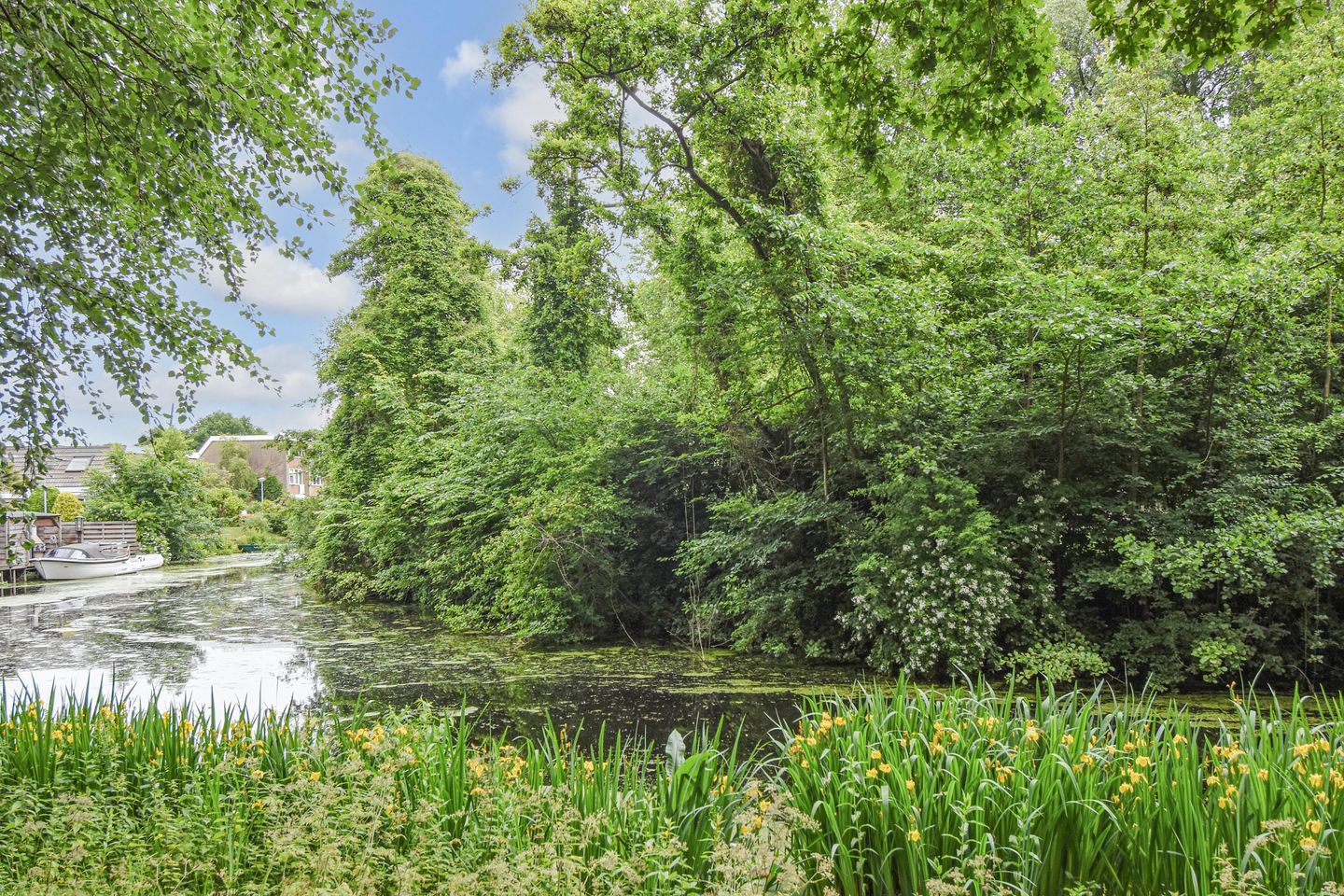 Foto 49 van De Brink 566