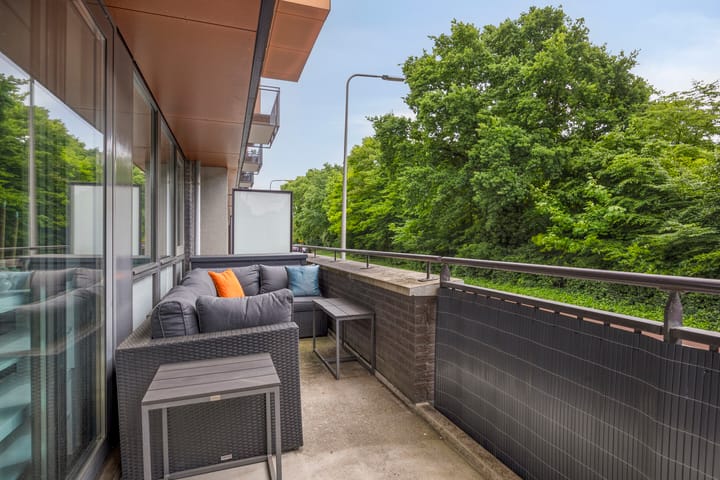 Foto 17 van Rijsterborgherweg 20-F3