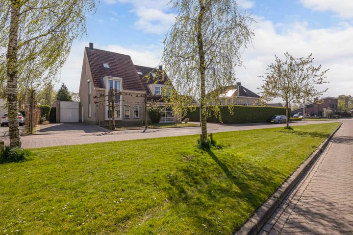 Photo 5 of Aambeeld 6