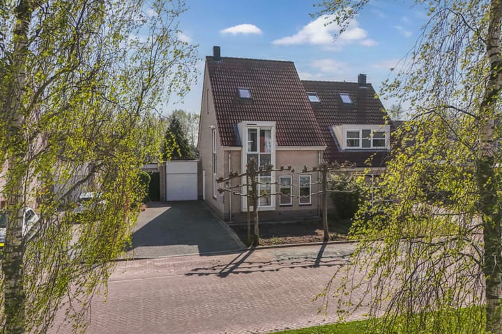 Photo 6 of Aambeeld 6