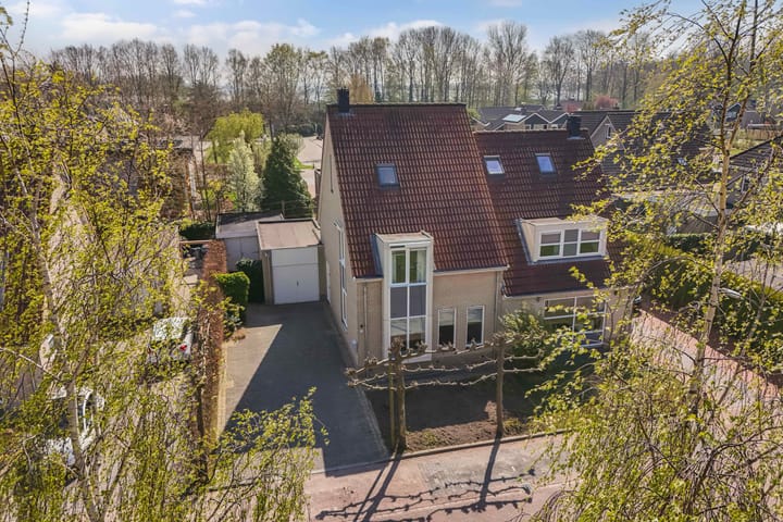 Photo 7 of Aambeeld 6