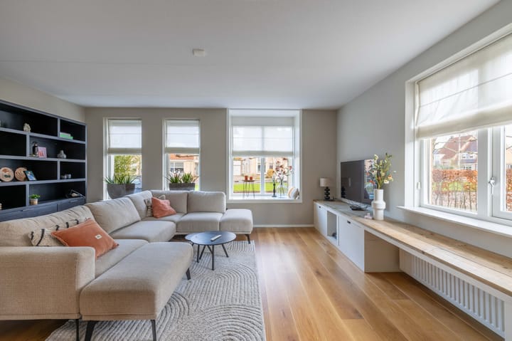 Photo 12 of Aambeeld 6