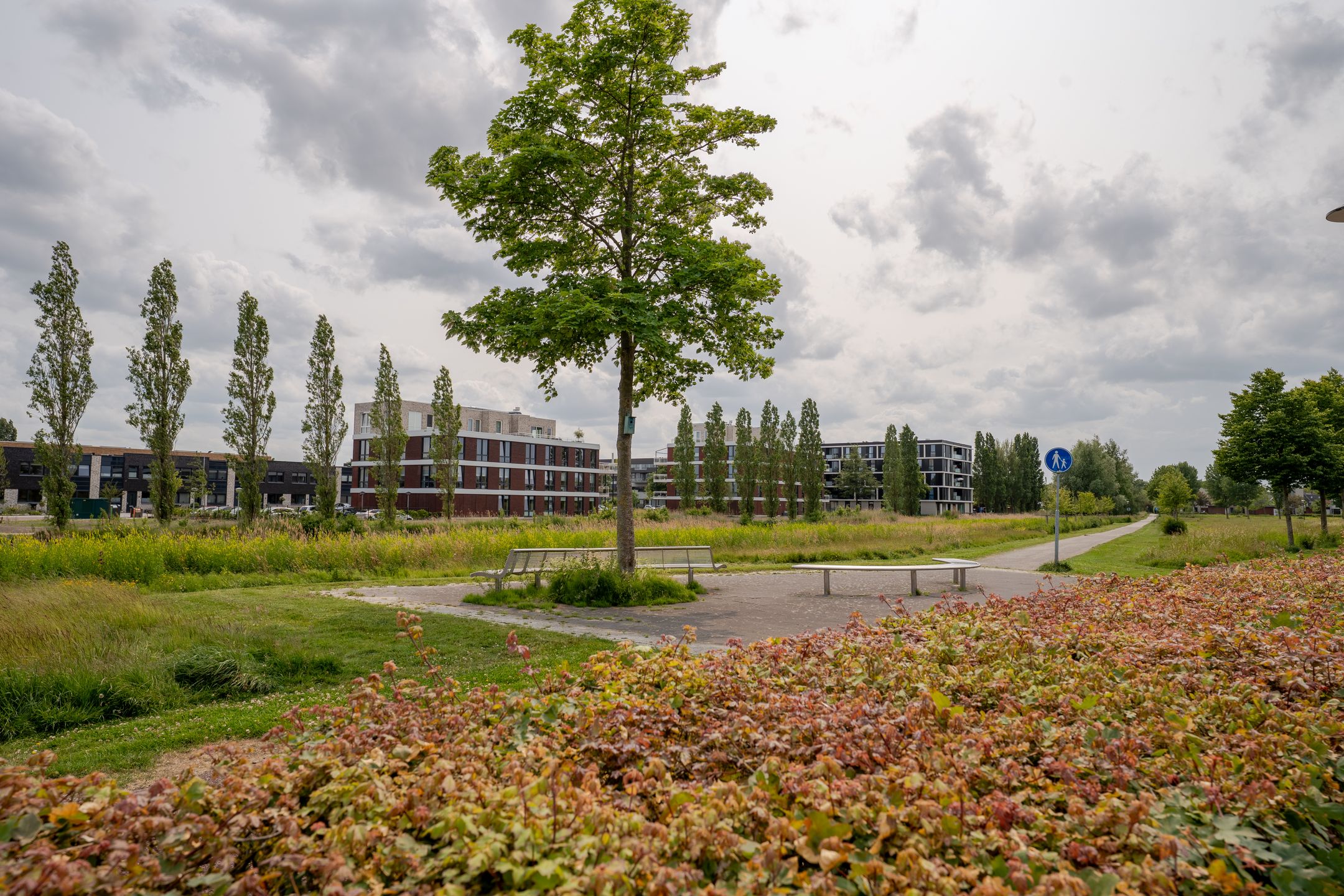 Foto 27 van Zwanenhof 39