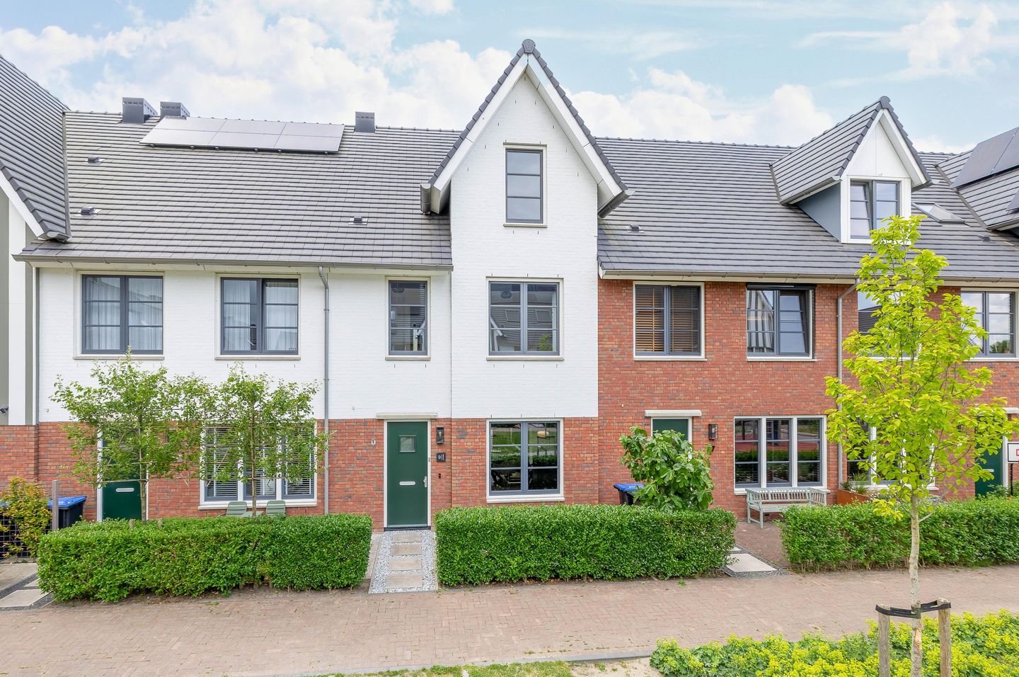 Foto 1 van Metselbij 9