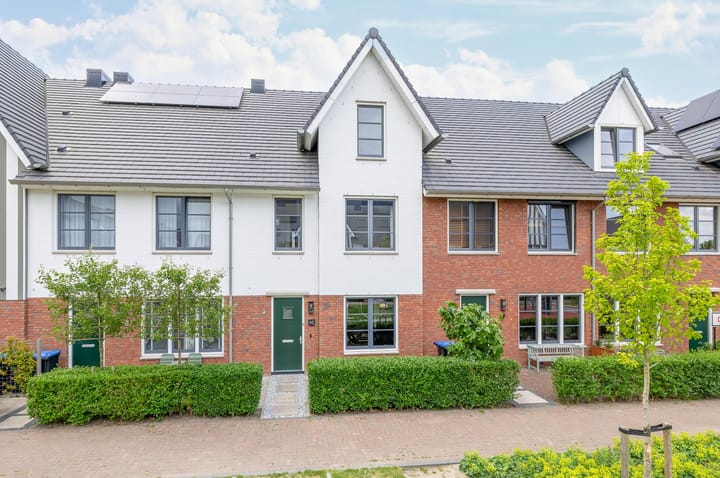 Foto 1 van Metselbij 9