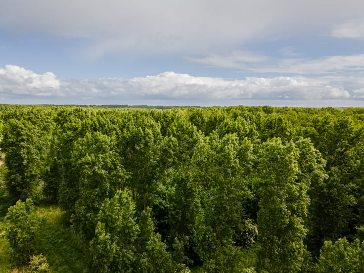 Foto 48 van Hachimanstraat 13