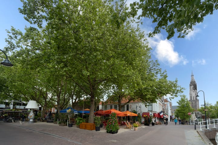 Photo 46 of Anna Boogerd 23