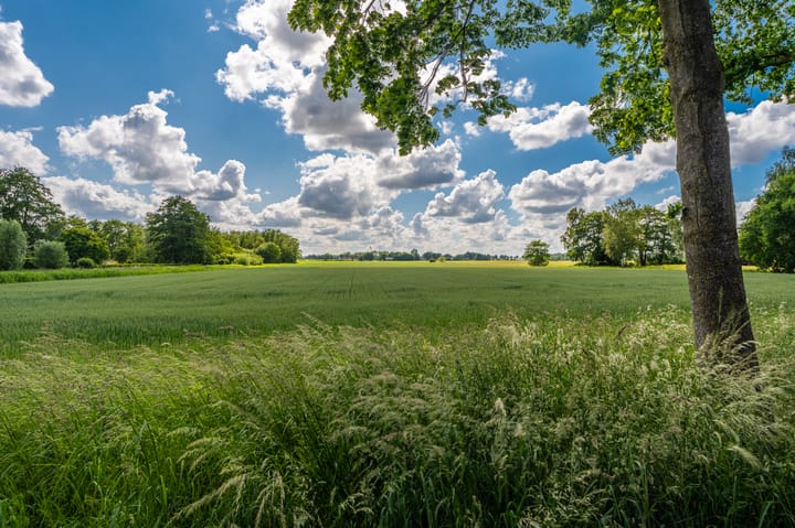 Foto 6 van Borgweg 106