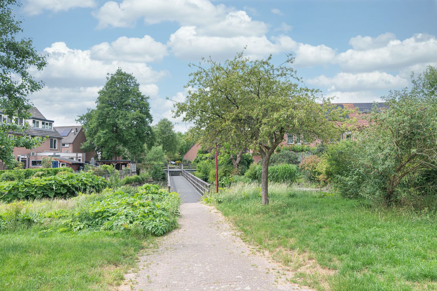 Foto 25 van Visarendsingel 22