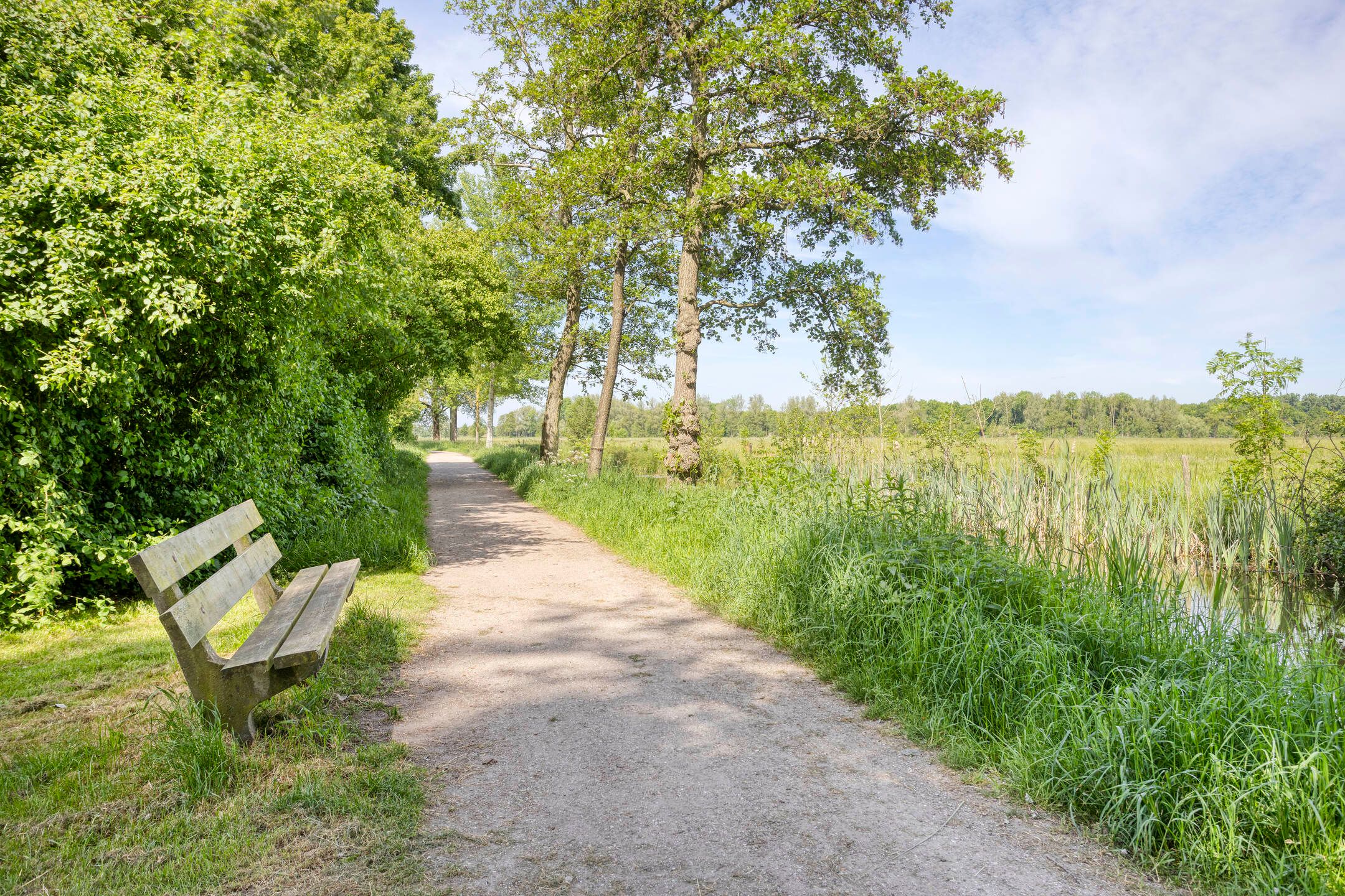 Foto 36 van Fivel 67