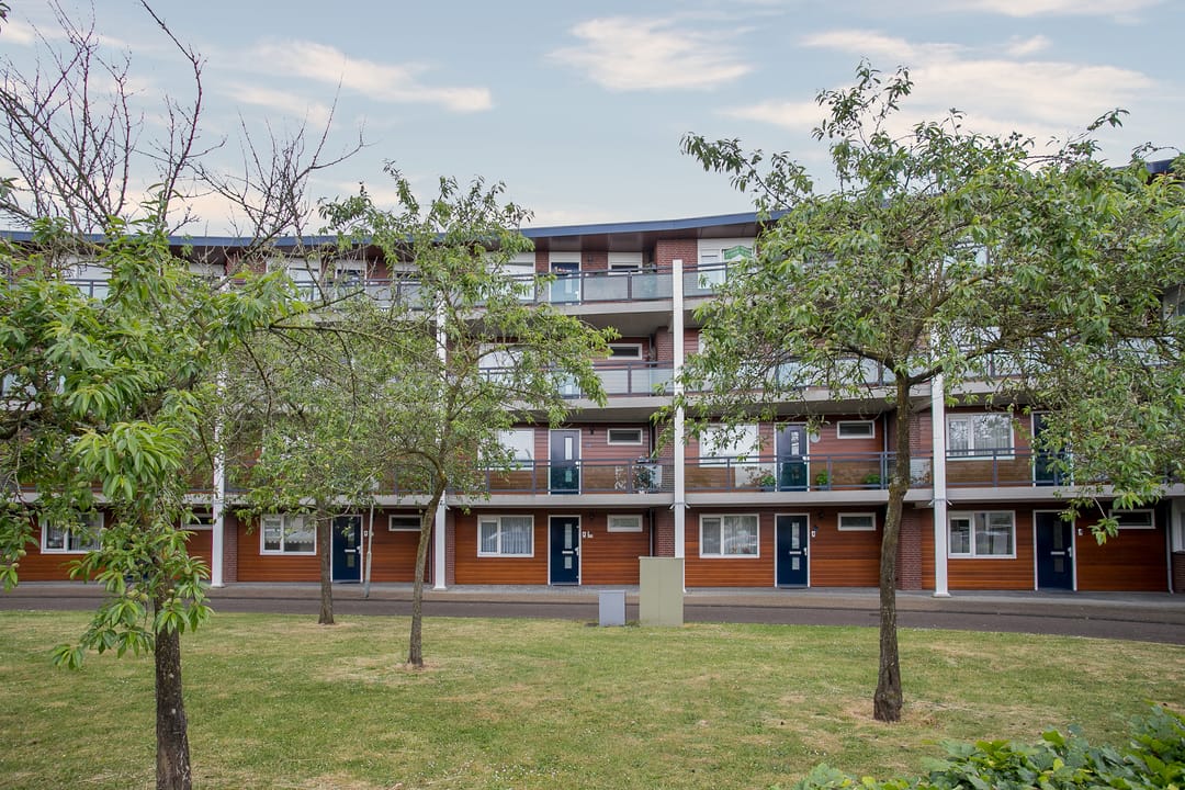 Foto 1 van Medaillon 8