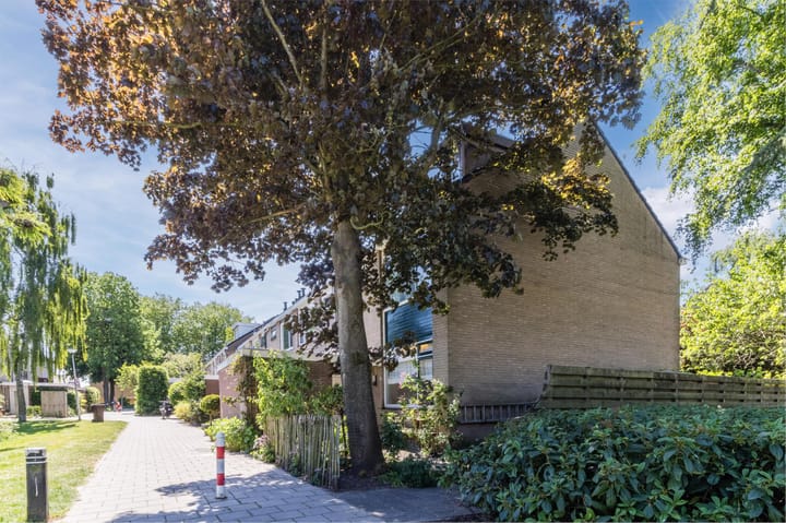 Foto 2 van Mondriaanplantsoen 1