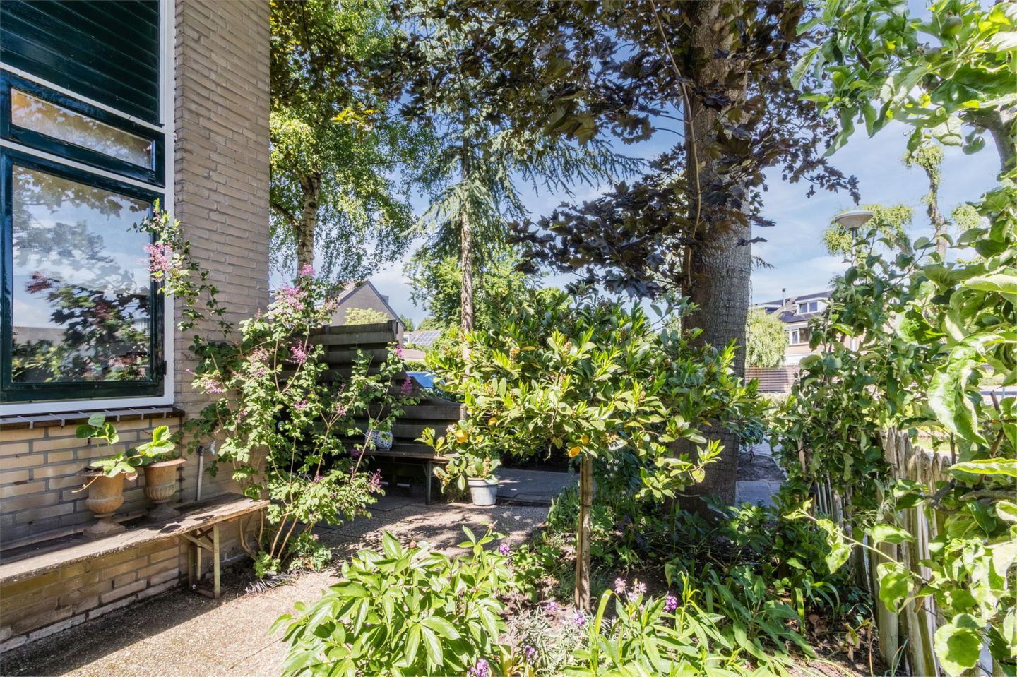 Foto 4 van Mondriaanplantsoen 1