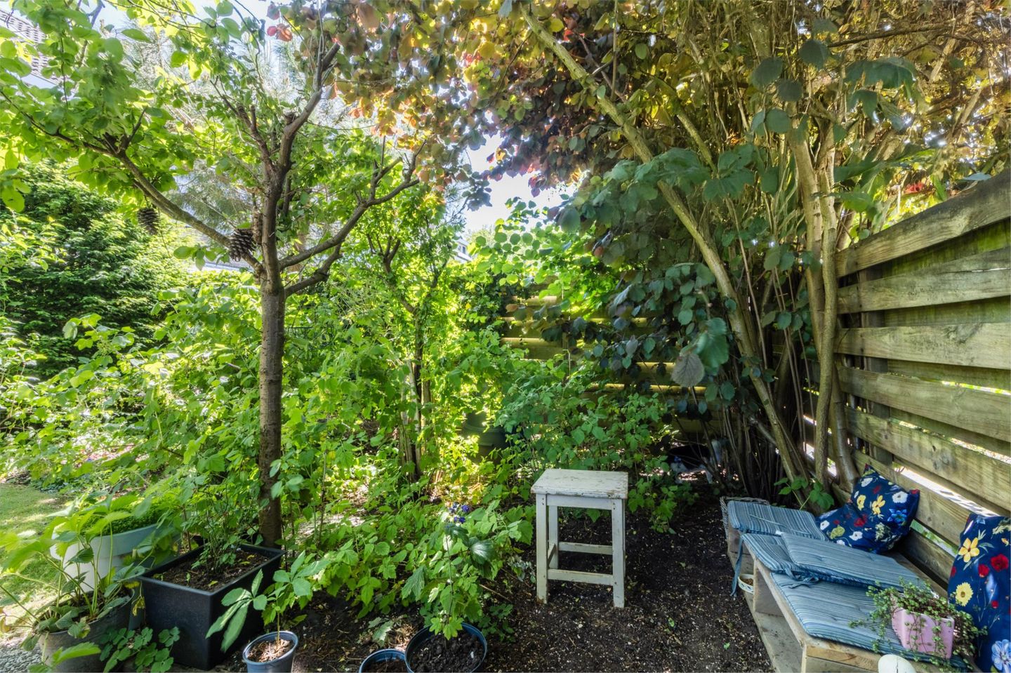 Foto 44 van Mondriaanplantsoen 1