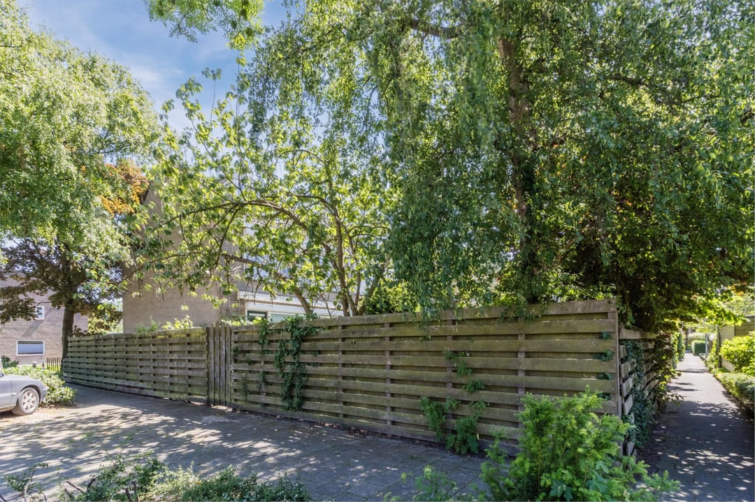 Foto 47 van Mondriaanplantsoen 1