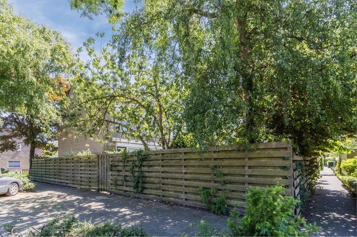 Foto 47 van Mondriaanplantsoen 1