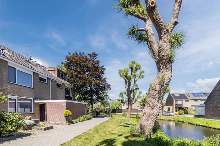 Foto 50 van Mondriaanplantsoen 1