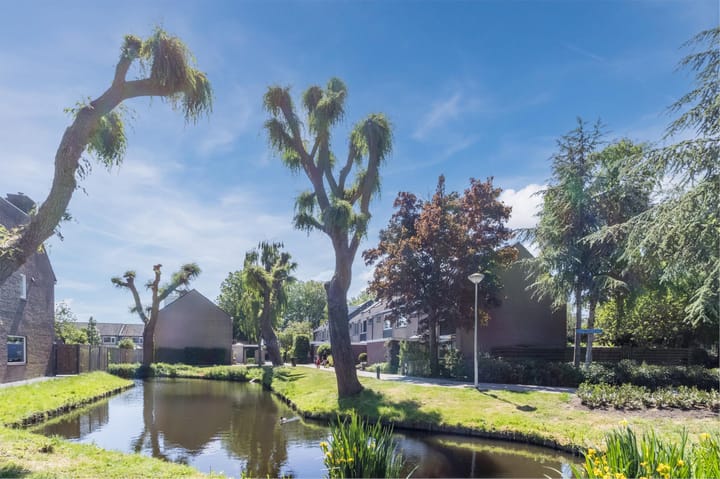 Foto 51 van Mondriaanplantsoen 1