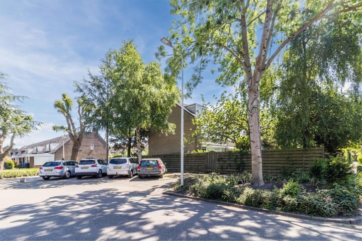 Foto 52 van Mondriaanplantsoen 1