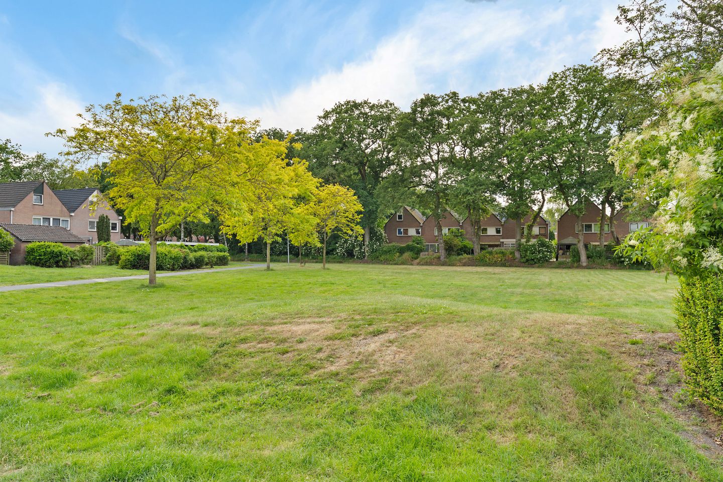 Foto 4 van Rolderbrink 97