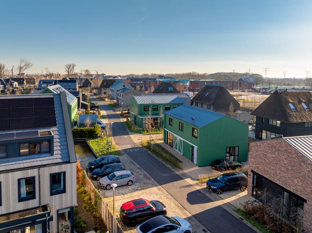 Foto 16 van Grote Lijster 17