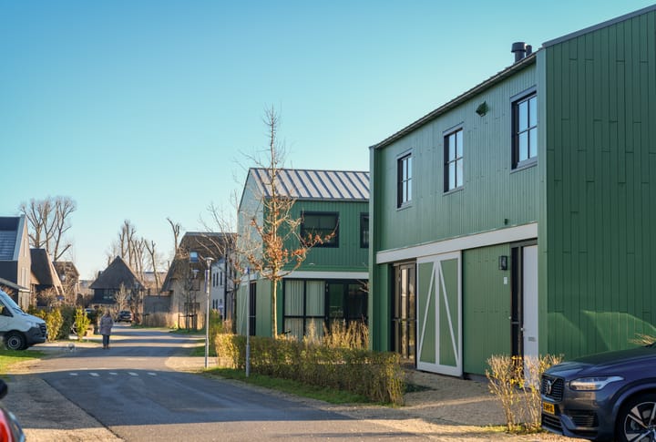 Foto 18 van Grote Lijster 17