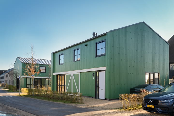 Foto 17 van Grote Lijster 17