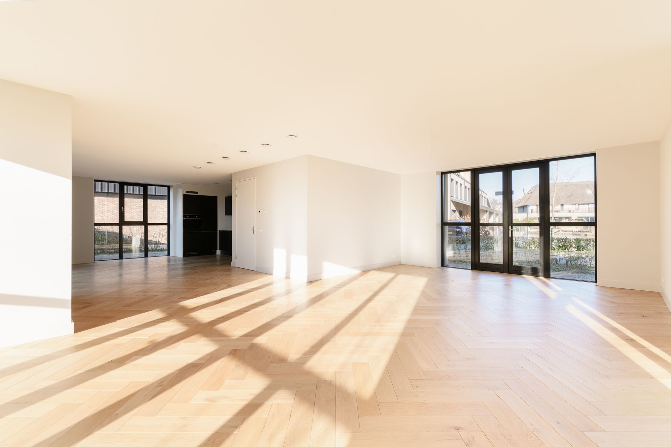 Foto 3 van Grote Lijster 17