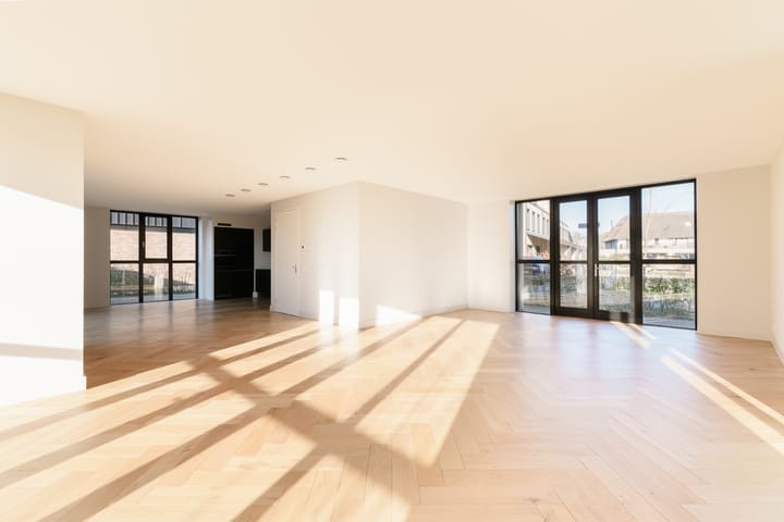 Foto 3 van Grote Lijster 17