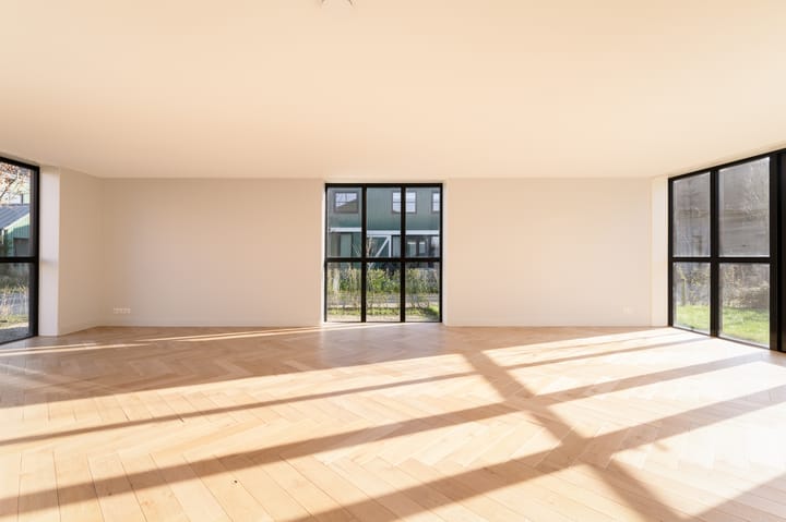 Foto 4 van Grote Lijster 17