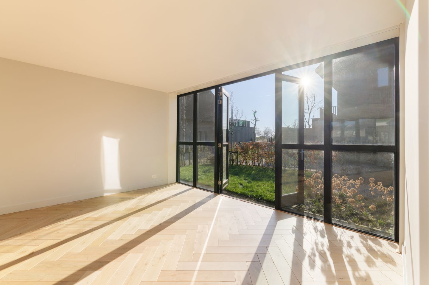 Foto 5 van Grote Lijster 17