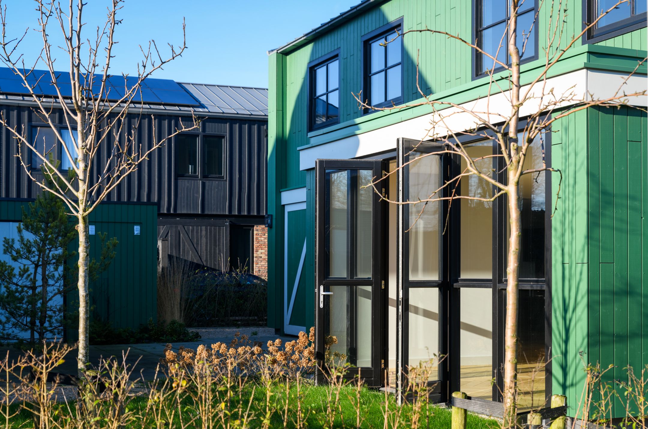 Foto 21 van Grote Lijster 17