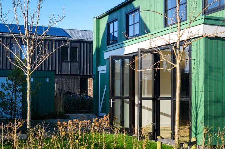 Foto 21 van Grote Lijster 17