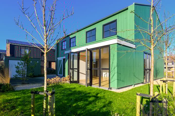 Foto 20 van Grote Lijster 17