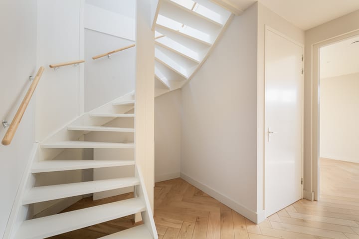 Foto 11 van Grote Lijster 17