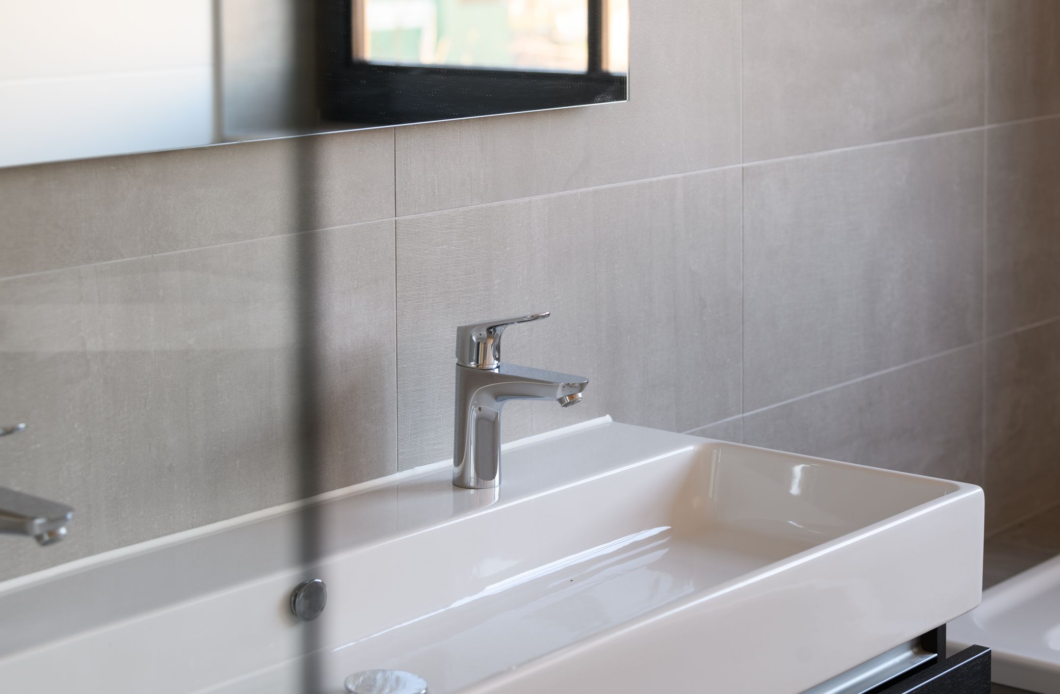 Foto 15 van Grote Lijster 17