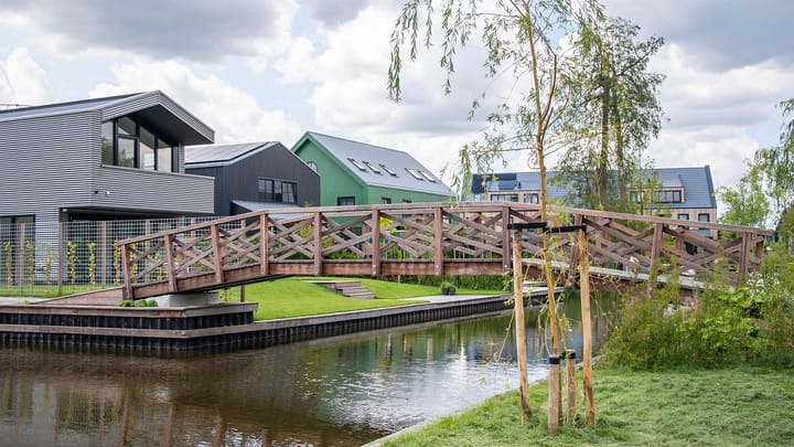 Foto 33 van Grote Lijster 17