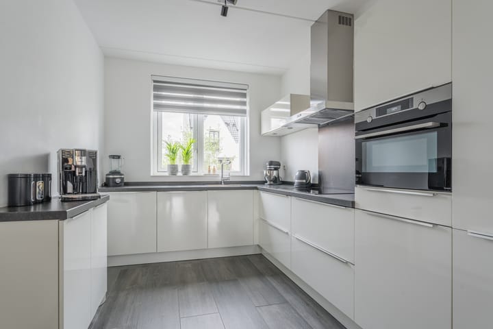 Foto 3 van Penningkruid 12