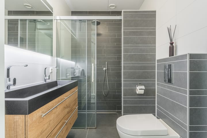 Foto 4 van Penningkruid 12