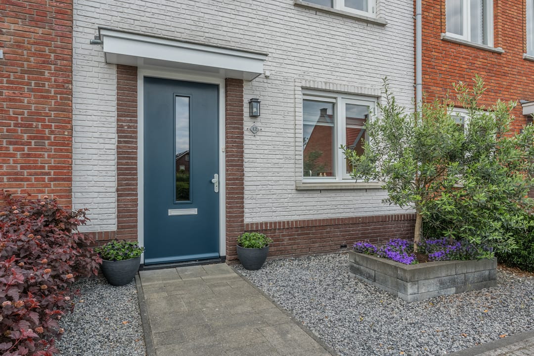 Photo 8 of Penningkruid 12