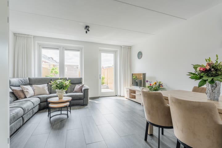 Foto 11 van Penningkruid 12