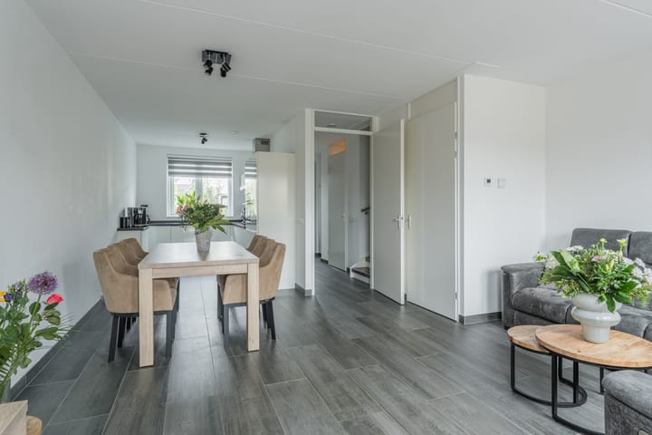 Foto 13 van Penningkruid 12