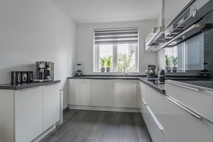 Foto 17 van Penningkruid 12