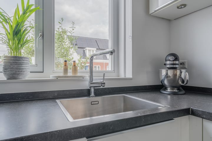 Foto 19 van Penningkruid 12