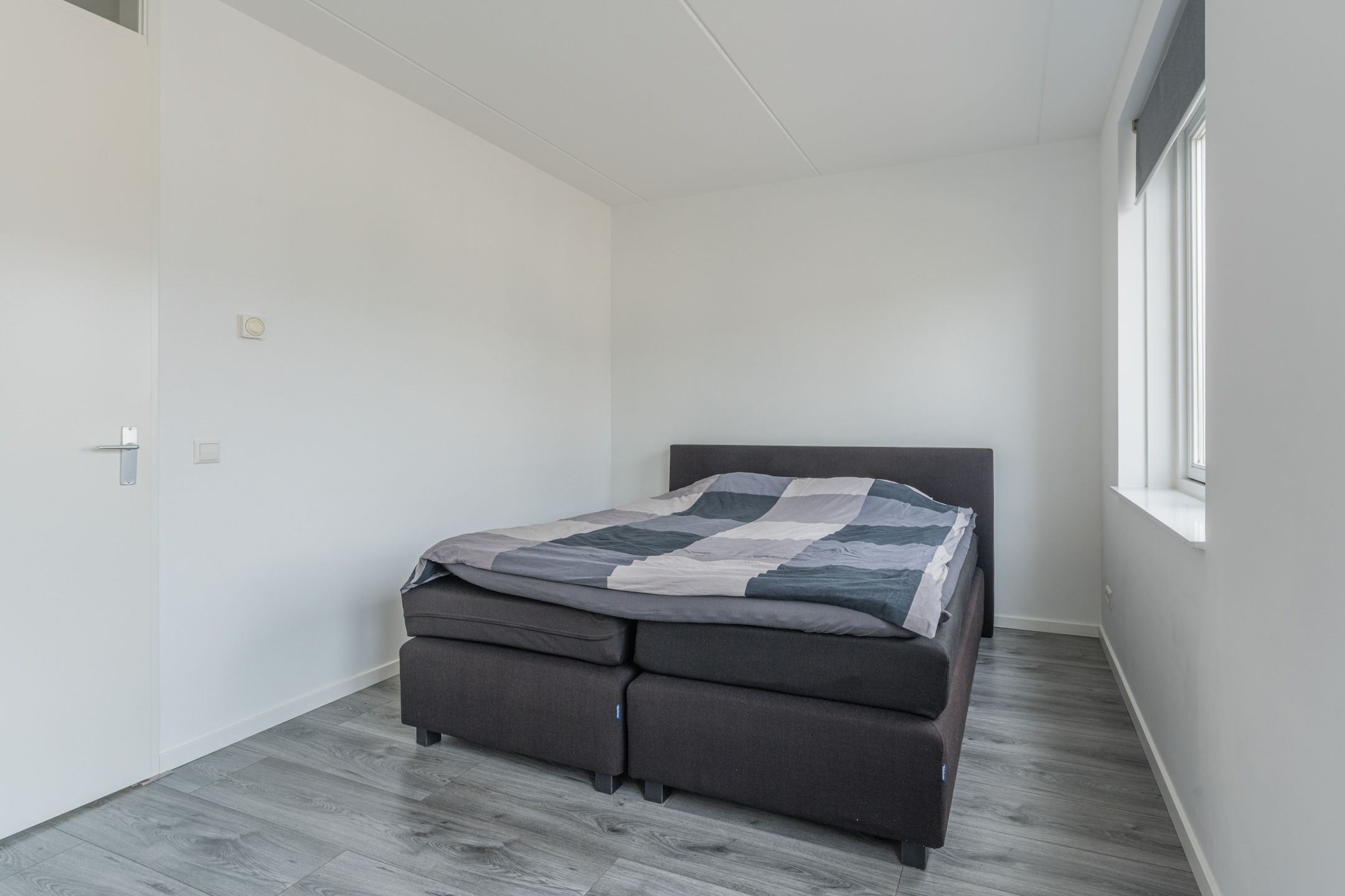 Photo 24 of Penningkruid 12